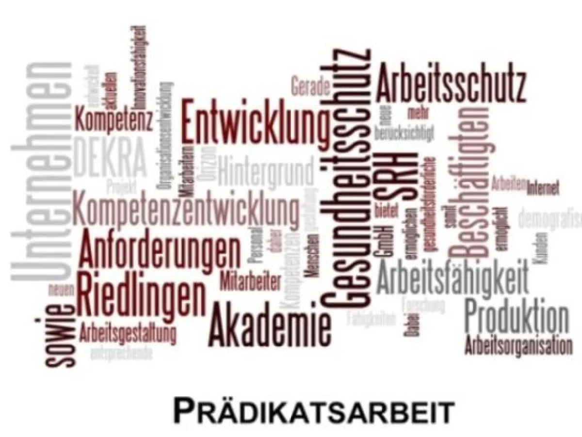 bmbf Projekt - SRH Fernhochschule