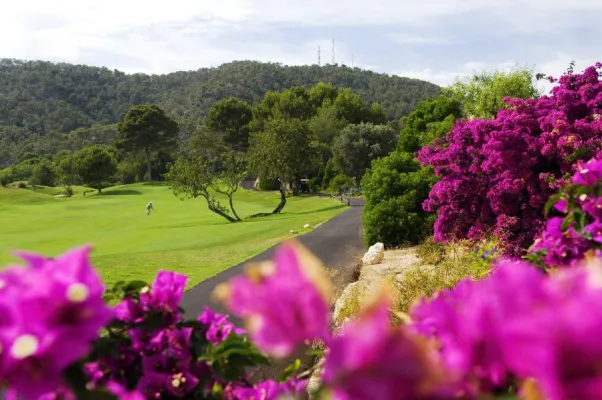 Bild: Immense Mehrwertsteuererhöhung in Spanien geht auch an Golf de Andratx nicht vorbei