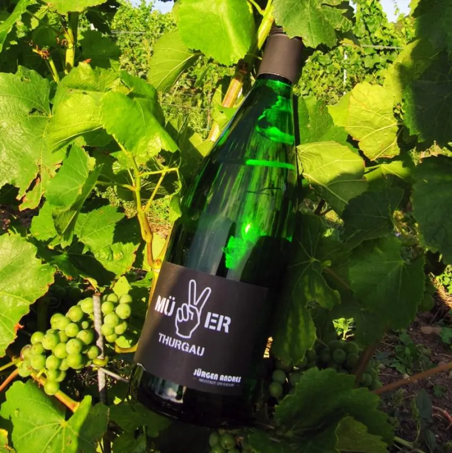 Weingut Andres - Müller-Thurgau 2015