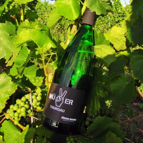 Bild: Wenn Wein anders ist, dann ist es Wein Andres