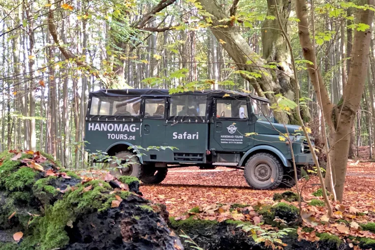Bild: Mit dem Hanomag auf Insel-Safari