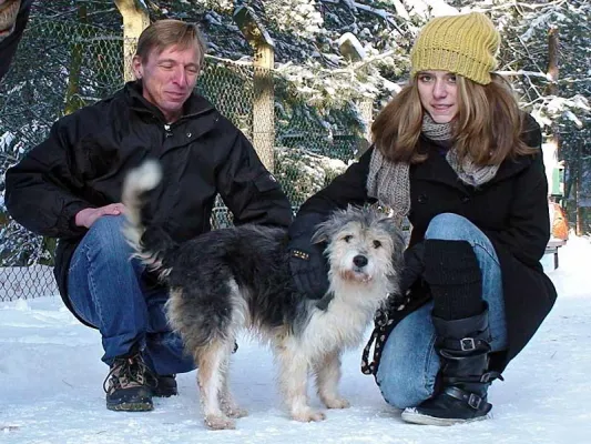 Waldemar - ein wahres Weihnachtsmärchen im Tierheim Verlorenwasser Bild: Waldemar - ein wahres Weihnachtsmärchen im Tierheim Verlorenwasser