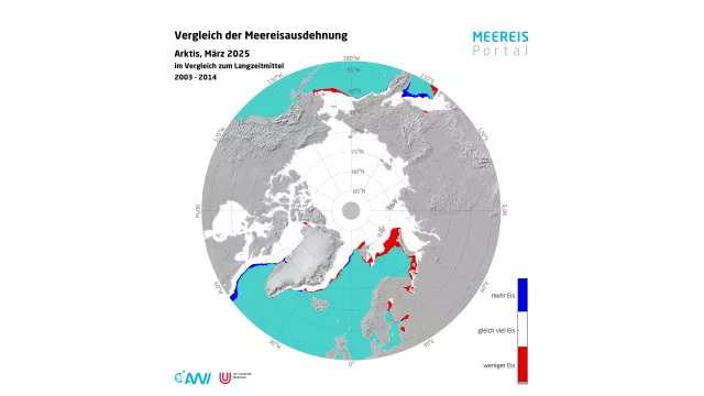 Bild: So wenig arktisches Meereis wie nie im Winter