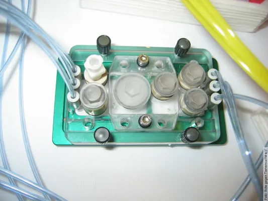 Chip simuliert den menschlichen Organismus zuverlässiger Bild: Chip simuliert den menschlichen Organismus zuverlässiger