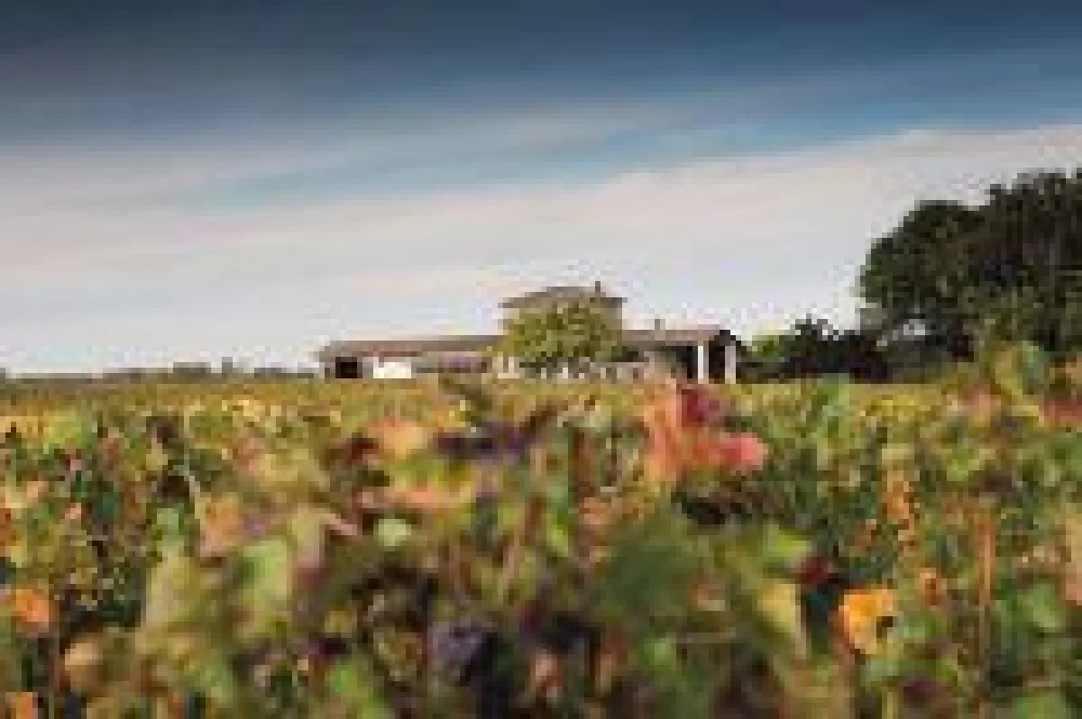 Weingut der Familie Guinaudeau und Heimat des Château Lafleur