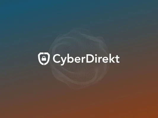 Bild: CyberDirekt Marktanalyse 2024: Risikofragen in der Cyberversicherung
