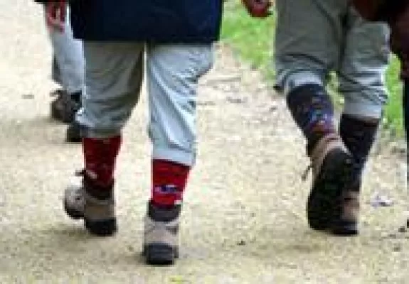 Bild: Wanderer und Radfahrer treffen sich im Naturpark Dübener Heide