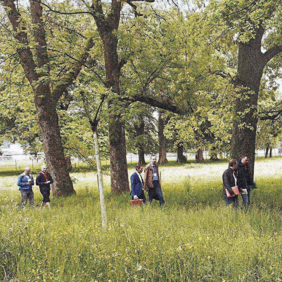 Gemeinsames Erkunden in Geh-Spräche auf der Tri 2016