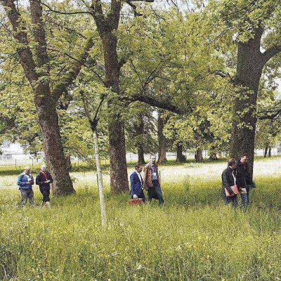 Tri 2018: einfach oder smart? Bild: Tri 2018: einfach oder smart?