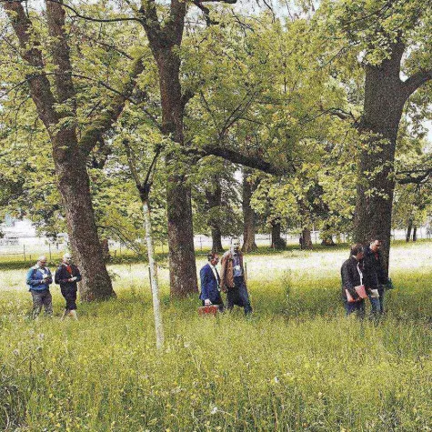 Bild: Tri 2018: einfach oder smart?