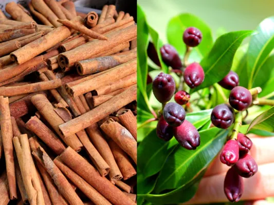 Bild: Zimt und Nelke – nicht nur weihnachtliche Geschenke 