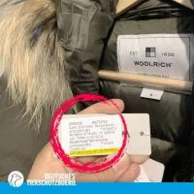 Bild: Dokument belegt Tierquälerei: Tierrechtler rufen zum Boykott von Woolrich auf