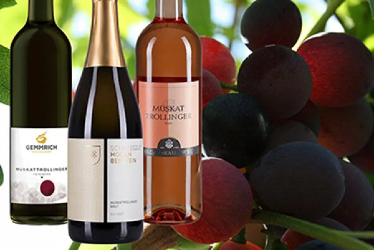 Jetzt die große Auswahl an Weinen aus Württemberg unter www.wuerttemberger-weine.de entdecken!