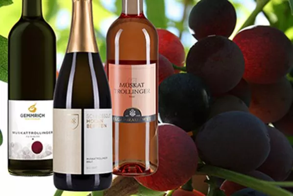 Bild: Muskattrollinger - der fruchtige Exot aus Württemberg