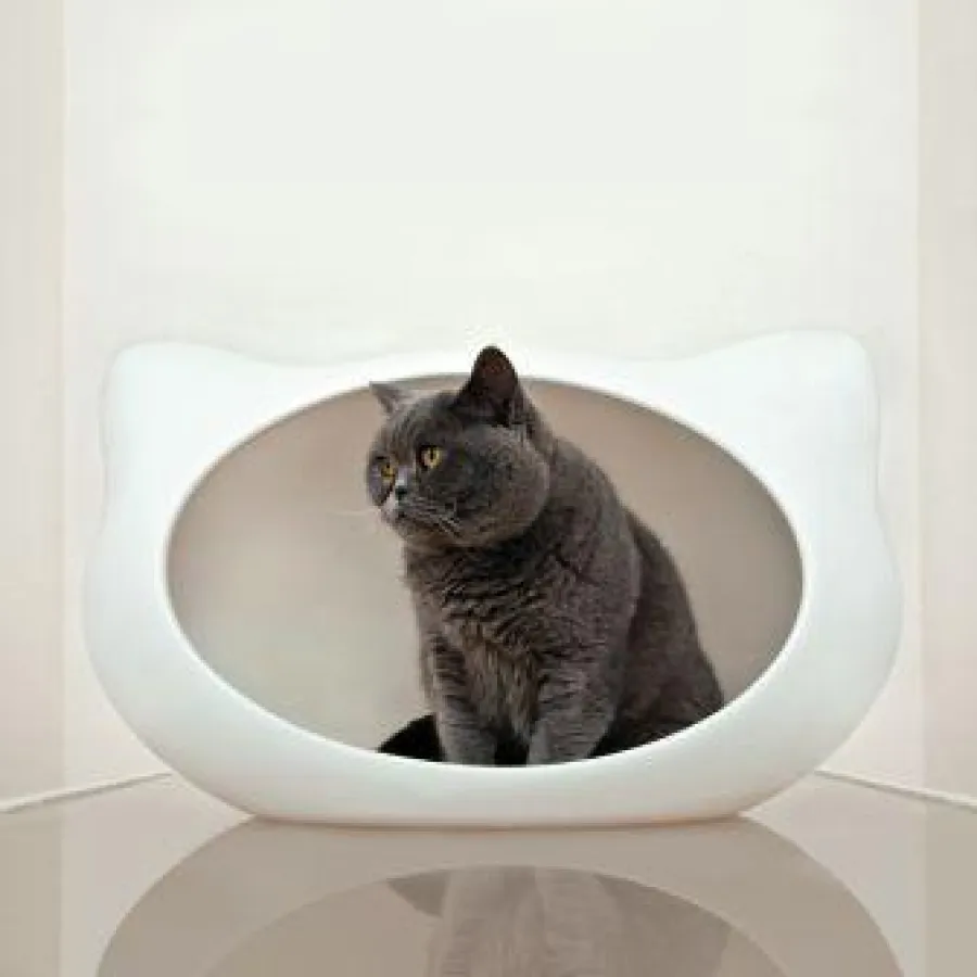 Jerry - Katzenhöhle mit Stil