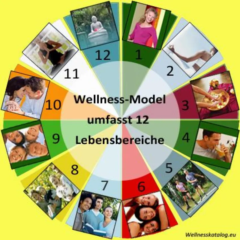 Wellness-Model mit 12 Lebensbereichen