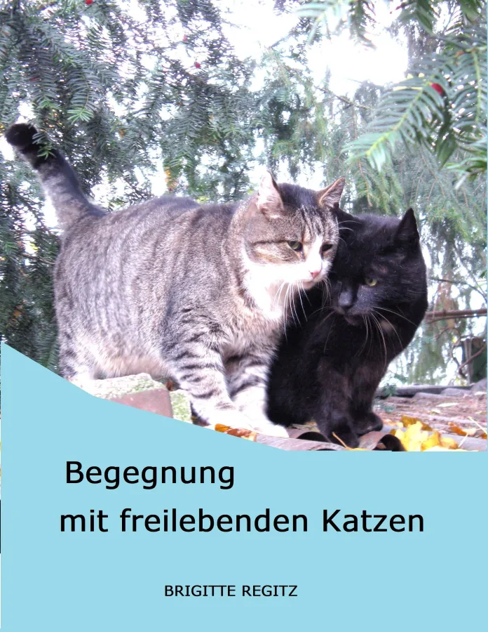 Buchcover (© Brigitte Regitz )