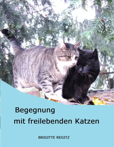 Bild: Hochleistungskatzen