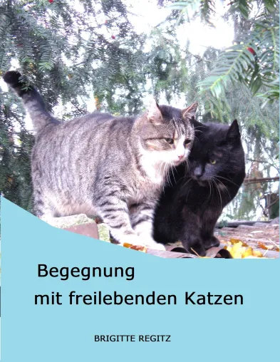 Bild: Hochleistungskatzen