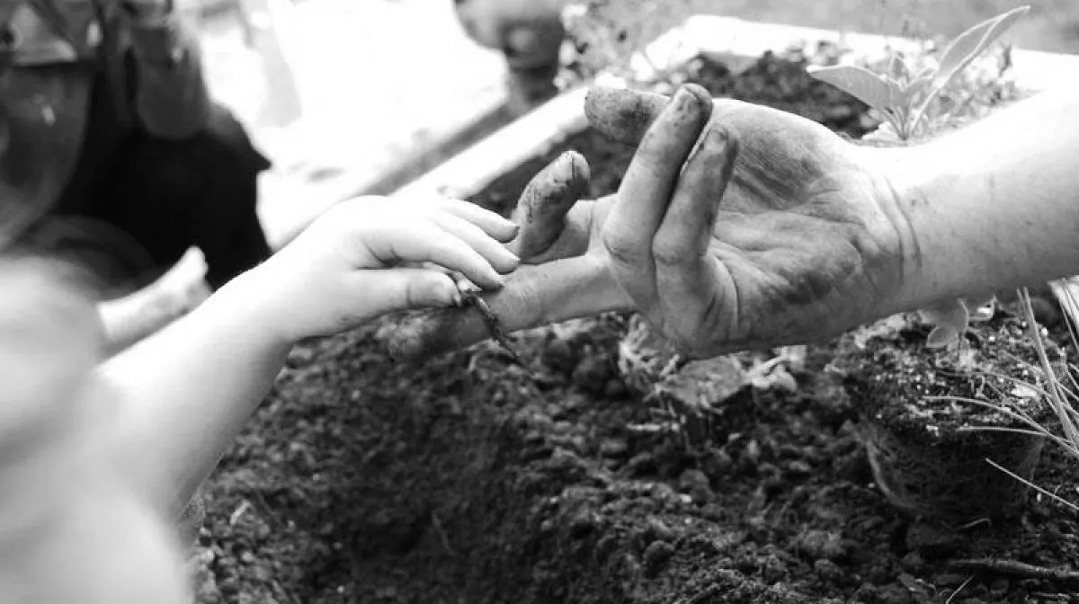 Zukunft Gestalten. Stadtpflanzer.