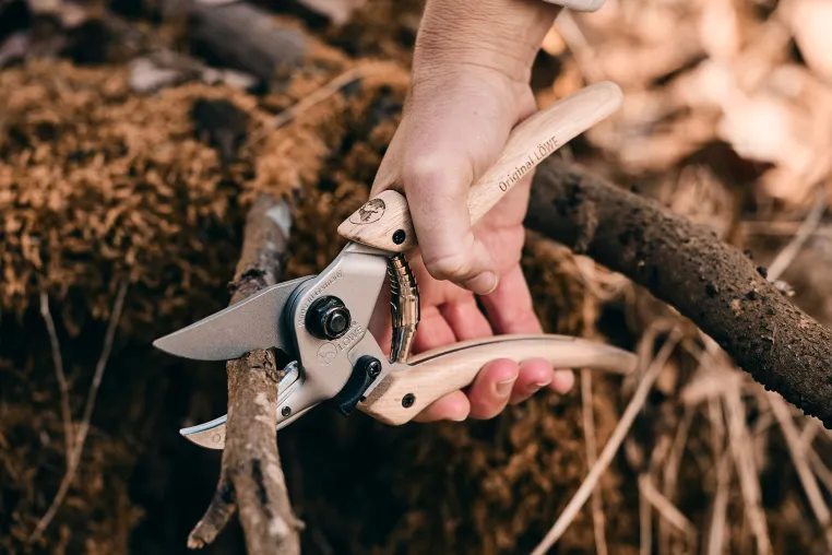 Vom jungen Trieb bis zum starken Ast: So finden Gartenbesitzer die passende Schere Bild: Vom jungen Trieb bis zum starken Ast: So finden Gartenbesitzer die passende Schere