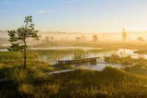 Bild: Sieben Dinge, die Mittsommer zum Highlight machen