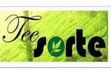 Bild: Die Teesorte Sencha Uchiyama ist reich an EGCG