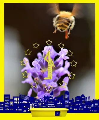 Bild: Das Nürnberger Rathaus deckt den Tisch für Bienen mit Beedabei