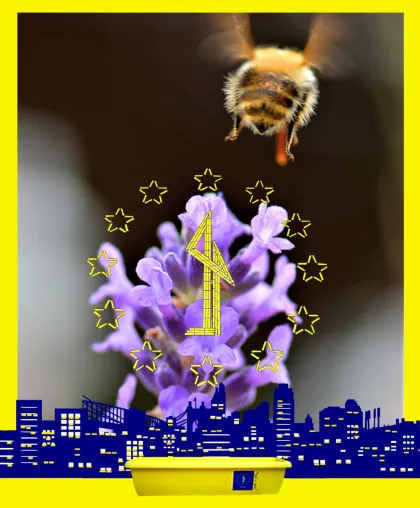 Bild: Das Nürnberger Rathaus deckt den Tisch für Bienen mit Beedabei