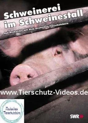 Bild: Schweinerei im Schweinestall - 30-minütige Videodokumentation über einen Undercover-Journalisten