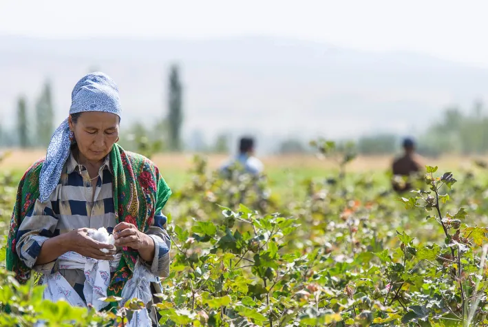 Cotonea verlässt Textile Exchange Bild: Cotonea verlässt Textile Exchange