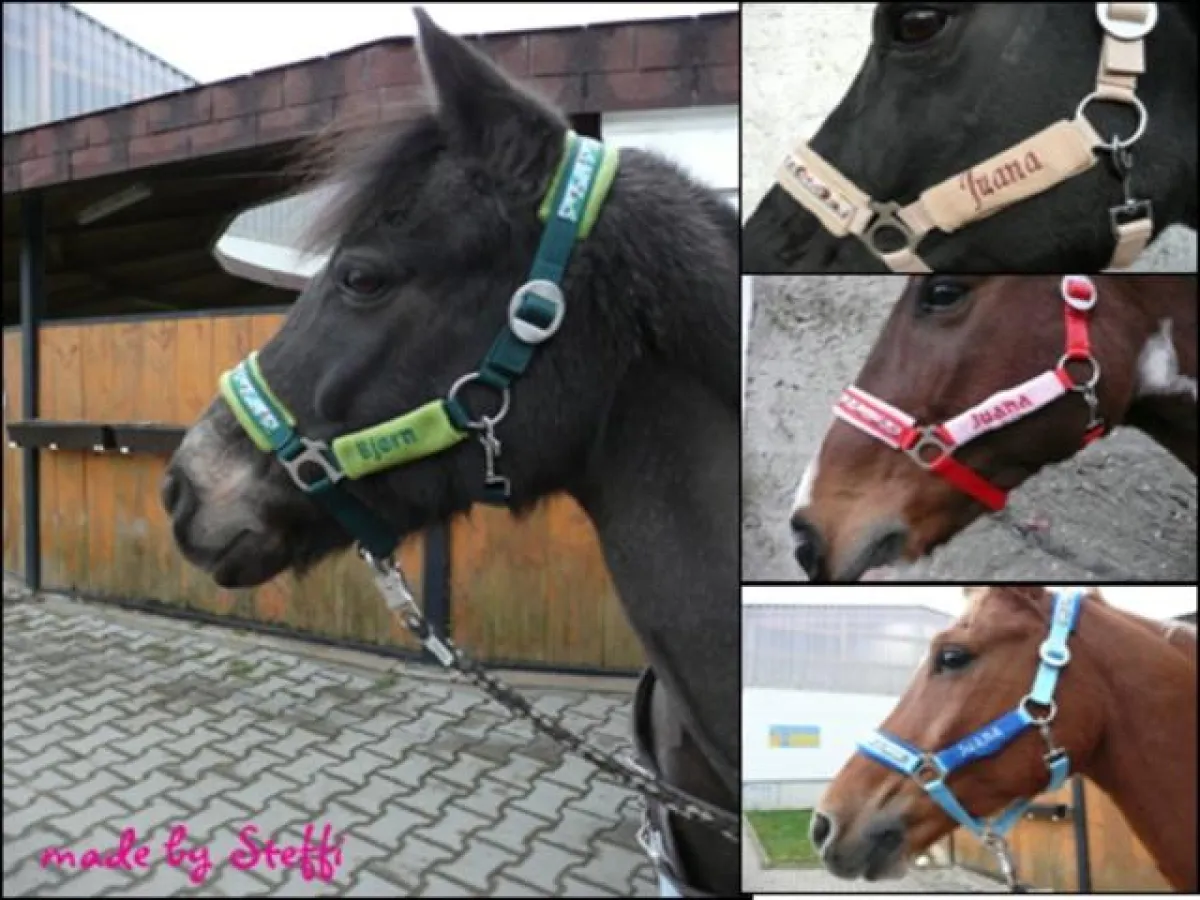 Einzigartige bestickte Halfter