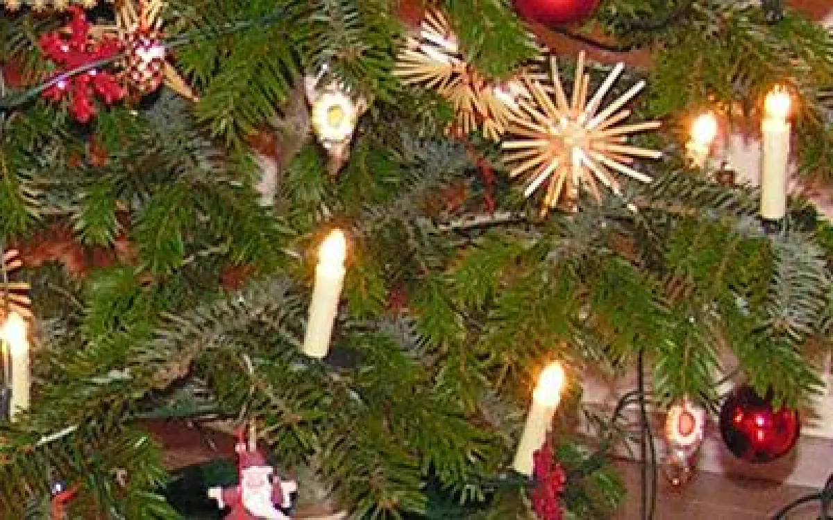 Lichterketten gelten in der Adventszeit als selbstverständlich