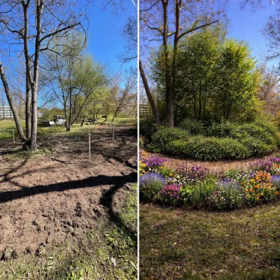 Bild: Klimawald auf dem Campus: Hochschule Nordhausen setzt auf bewährte Konzepte zur urbanen Biodiversität