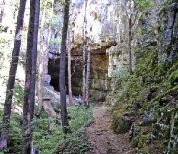 Bild: Falkensteiner Höhle Tour 2200 Meter durch die Unterwelt der Schwäbischen Alb