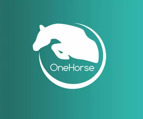 OneHorse pitcht auf der IFA Bild: OneHorse pitcht auf der IFA