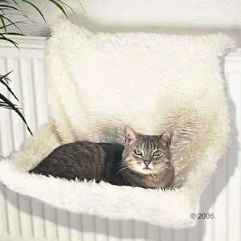 Bild: Winterzeit ist Kuschelzeit