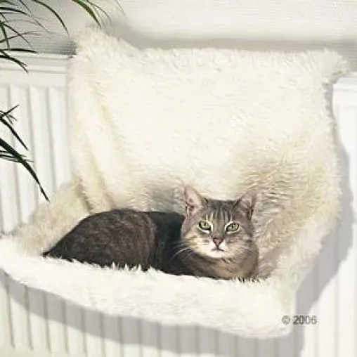 Winterzeit ist Kuschelzeit Bild: Winterzeit ist Kuschelzeit