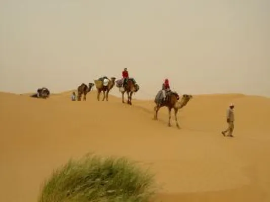 Tunesien: Kameltrekking und Yoga in der Wüste mit Travel & Personality Bild: Tunesien: Kameltrekking und Yoga in der Wüste mit Travel & Personality