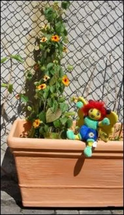 Pflanzentauschbörse im Gelände der Landesgartenschau Reichenbach 2009