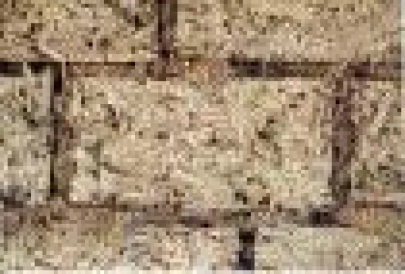 Kommunikationsplattform für Lehmbauer Bild: Kommunikationsplattform für Lehmbauer