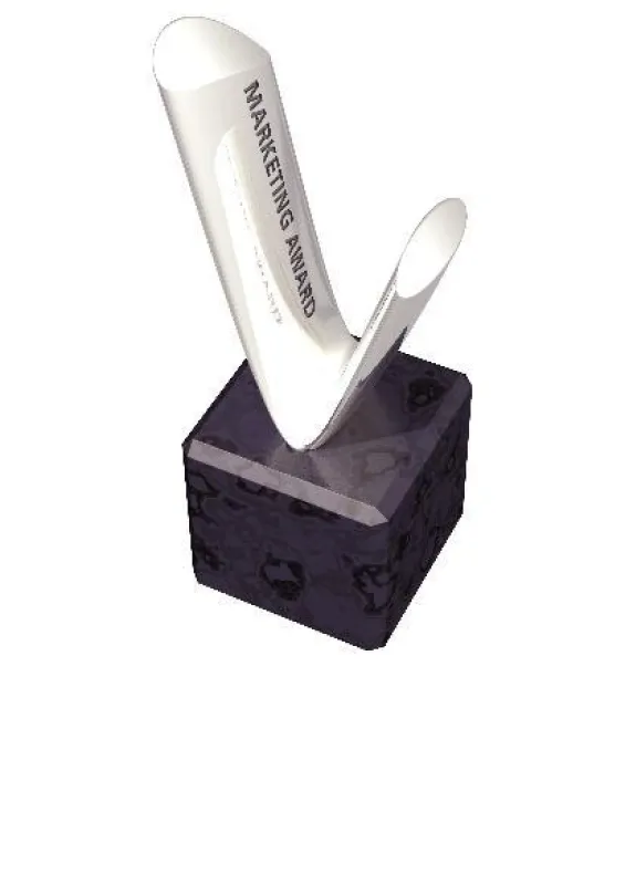 Marketing-Award