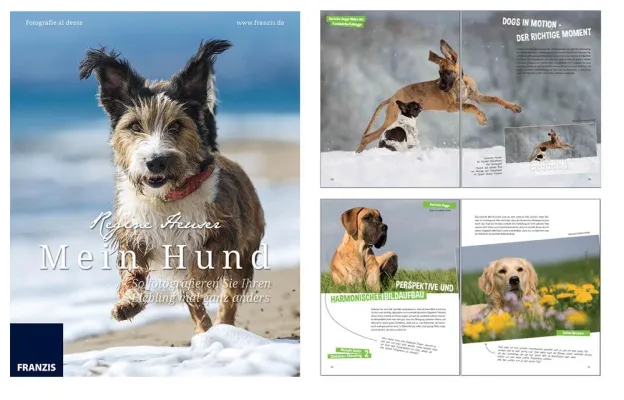 Bild: Franzis Tierfotobuch - Mein Hund - So fotografieren Sie Ihren Liebling mal ganz anders