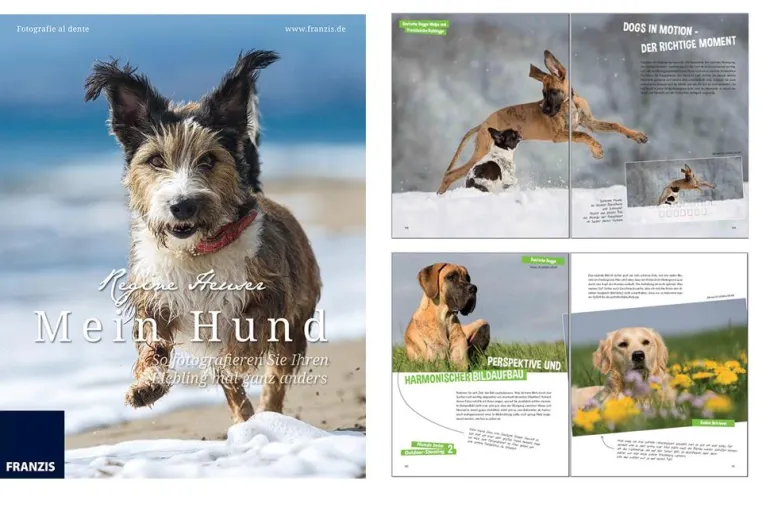 Bild: Franzis Tierfotobuch - Mein Hund - So fotografieren Sie Ihren Liebling mal ganz anders