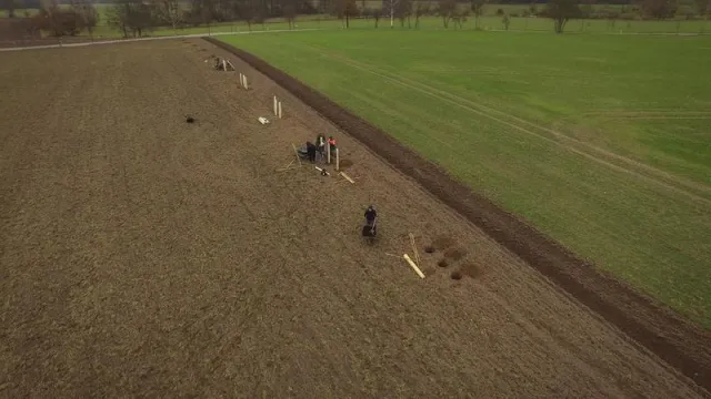 Warum pflanzt man Bäume auf dem Acker? Bild: Warum pflanzt man Bäume auf dem Acker?