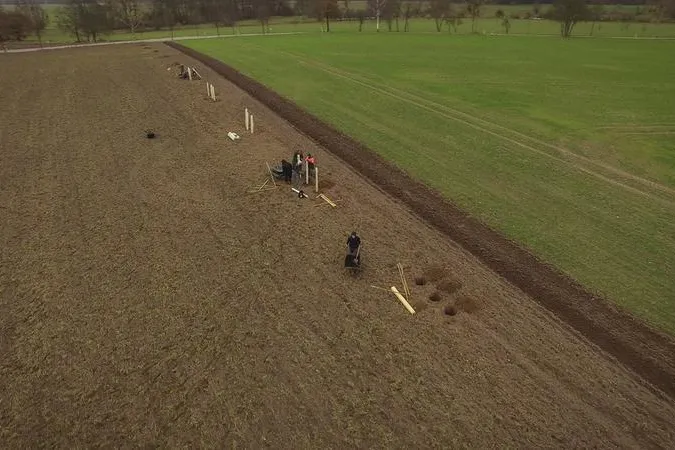 Warum pflanzt man Bäume auf dem Acker? Bild: Warum pflanzt man Bäume auf dem Acker?