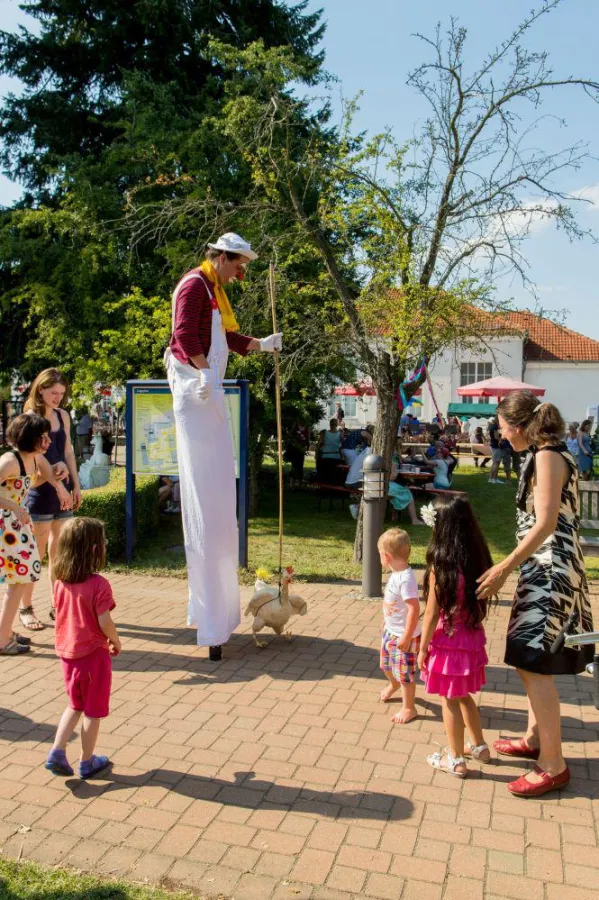 Auf dem Sommerfest der Albert Schweitzer Stiftung - Wohnen & Betreuen gibt es viel zu sehen.