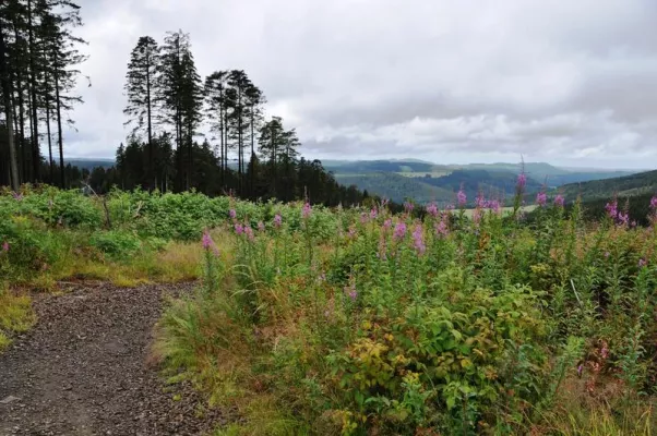 Bild: Beim Wandern Geschichte lernen: Otto der Große im Sauerland