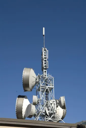 Bild: Bienensterben durch Mobilfunkstrahlung? – Auswirkungen von Elektrosmog auf die Landwirtschaft