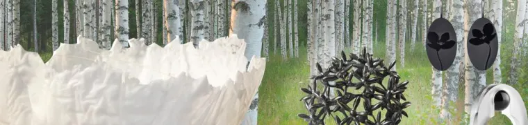 Bild: hellweiss, schwarz und grün